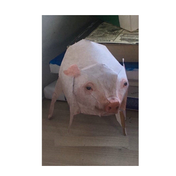 Свинья из тик ток