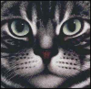 Схема вышивки крестом "American Shorthair"