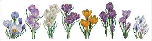 Схема вышивки крестом "Crocus Varieties"