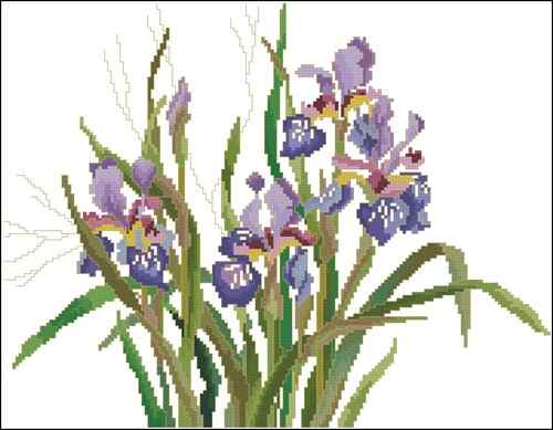 Схема вышивки крестом "Dutch Iris"