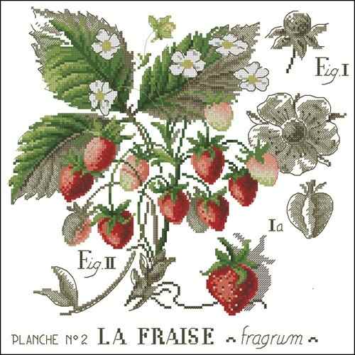 Схема вышивки крестом "L'etude Aux Fraises"