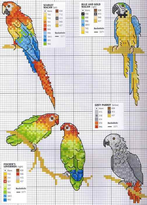 Схема вышивки крестом "Попугайчики"