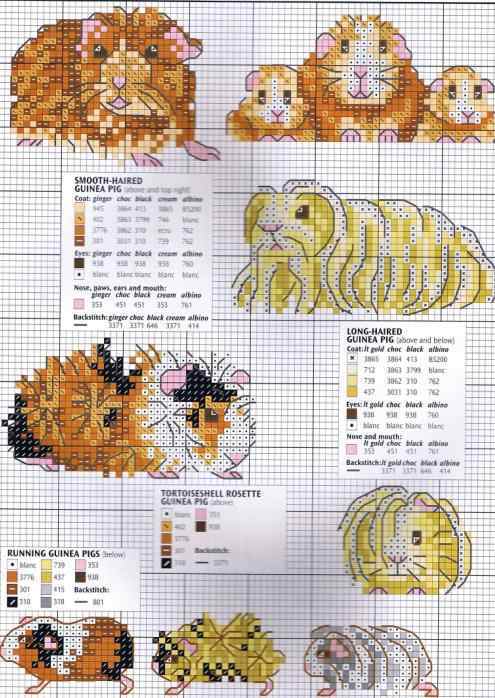 Схема вышивки крестом "Морские свинки"