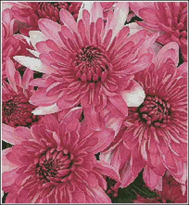 Схема вышивки "Artecy CS Pink Chrysanthemums"