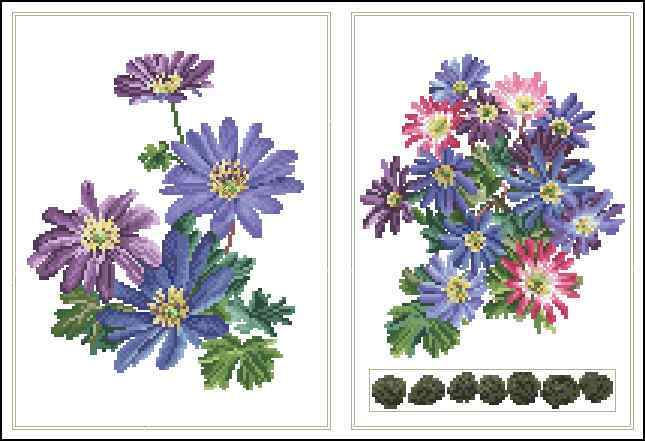 Схема вышивки "TG-445 Anemone blanda"