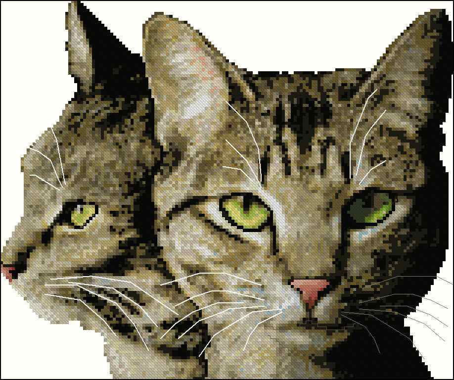 Схема вышивки крестом "Brown Tabby Cats"