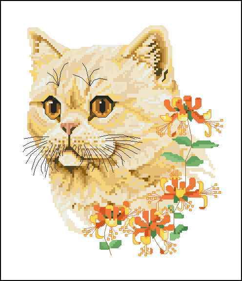 Схема вышивки крестом "The Exotic Shorthair - Summer Cat By Jayne Netley Mayhew"