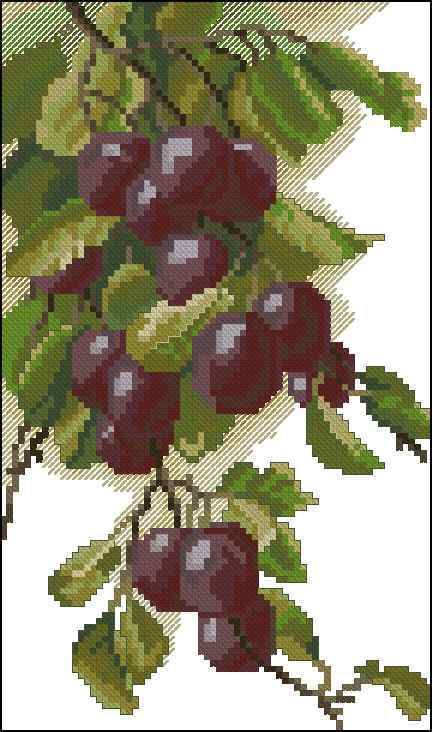 Схема вышивки крестом "Beyond The Garden Gate Plums"