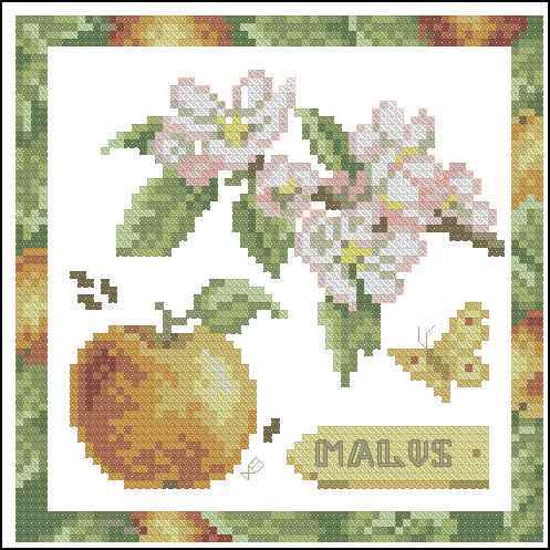 Схема вышивки крестом "Malus"