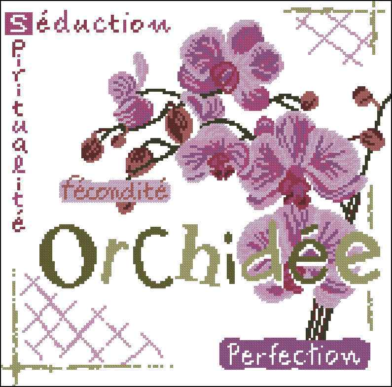 Схема вышивки крестом "Orchidee"