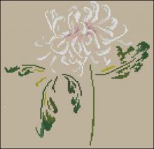 Схема вышивки крестом "DMC Chrysanthemum"