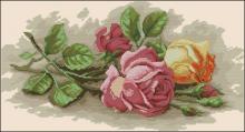 Схема вышивки крестом "Rose Cuttings"