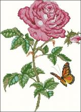 Схема вышивки крестом "Rose Beauty"