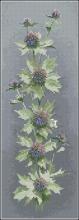 Схема вышивки крестом "Sea Holly"