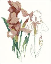 Схема вышивки крестом "Отражение ириса 2"