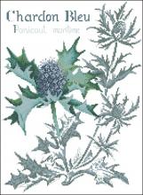 Схема вышивки крестом "Thistle"