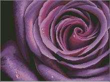 Схема вышивки крестом "Deep Violet Rose"