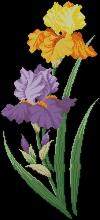 Схема вышивки крестом "Irises Duo"