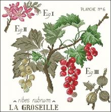Схема вышивки крестом "Etude Aux Groseilles"