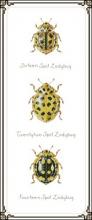 Схема вышивки крестом "Yellow bugs"