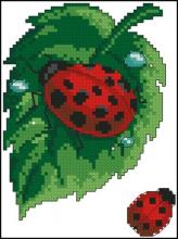 Схема вышивки крестом "72529 LADYBUG"
