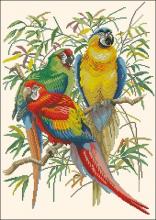 Схема вышивки крестом "Тропические попугаи"