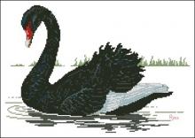 Схема вышивки крестом "Черный лебедь"