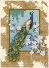 Схема вышивки крестом "Beautiful Bird"