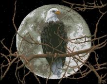 Схема вышивки крестом "Eagle in Moonlight"