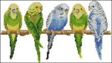 Схема вышивки крестом "5 попугаев"