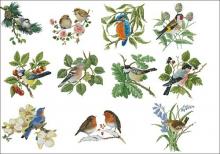 Схема вышивки крестом "Коллекция птичек"