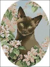 Схема вышивки крестом "Burmese Cat"