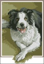 Схема вышивки крестом "Border Collie"