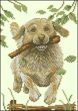 Схема вышивки крестом "Labrador retriever"