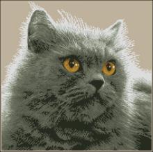 Схема вышивки крестом "Gata Persa"