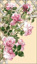 Схема вышивки "Riolis 898 Roses"