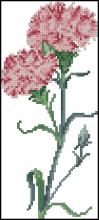 Схема вышивки "TG Dianthus"