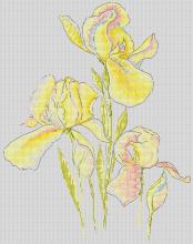Схема вышивки крестом "Irises Watercolours"