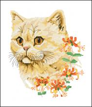 Схема вышивки крестом "The Exotic Shorthair - Summer Cat By Jayne Netley Mayhew"