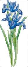 Схема вышивки "irises"