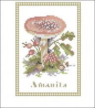 Схема вышивки крестом "Paddestoel Amanita"