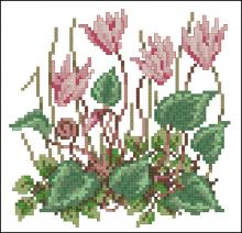 Схема вышивки крестом "Cyclamen"