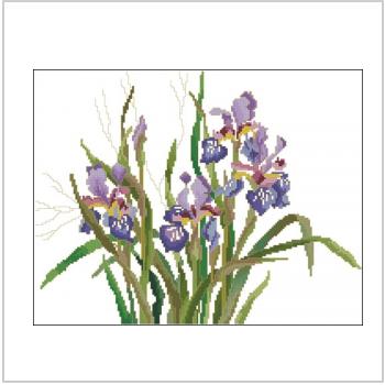 Схема вышивки крестом "Dutch Iris"