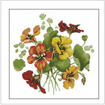 Схема вышивки крестом "Nasturtium Posy"