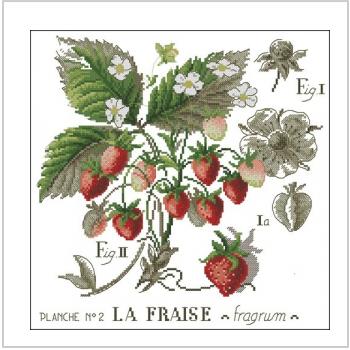 Схема вышивки крестом "L'etude Aux Fraises"