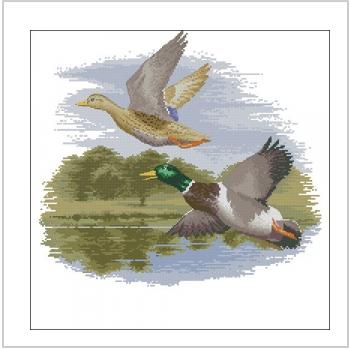 Схема вышивки крестом "Mallard Ducks in Flight"