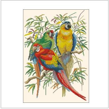 Схема вышивки крестом "Тропические попугаи"