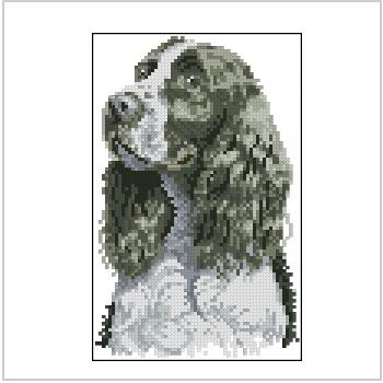 Схема вышивки крестом "Springer Spaniel (BK 137)"