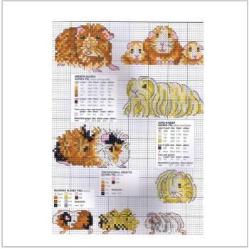 Схема вышивки крестом "Морские свинки"