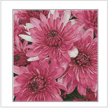 Схема вышивки "Artecy CS Pink Chrysanthemums"